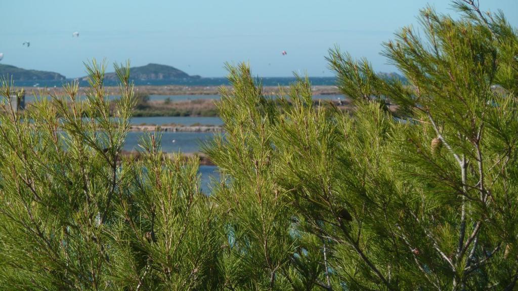 Residence Hoteliere La Pinede Bleue Hyères Dış mekan fotoğraf