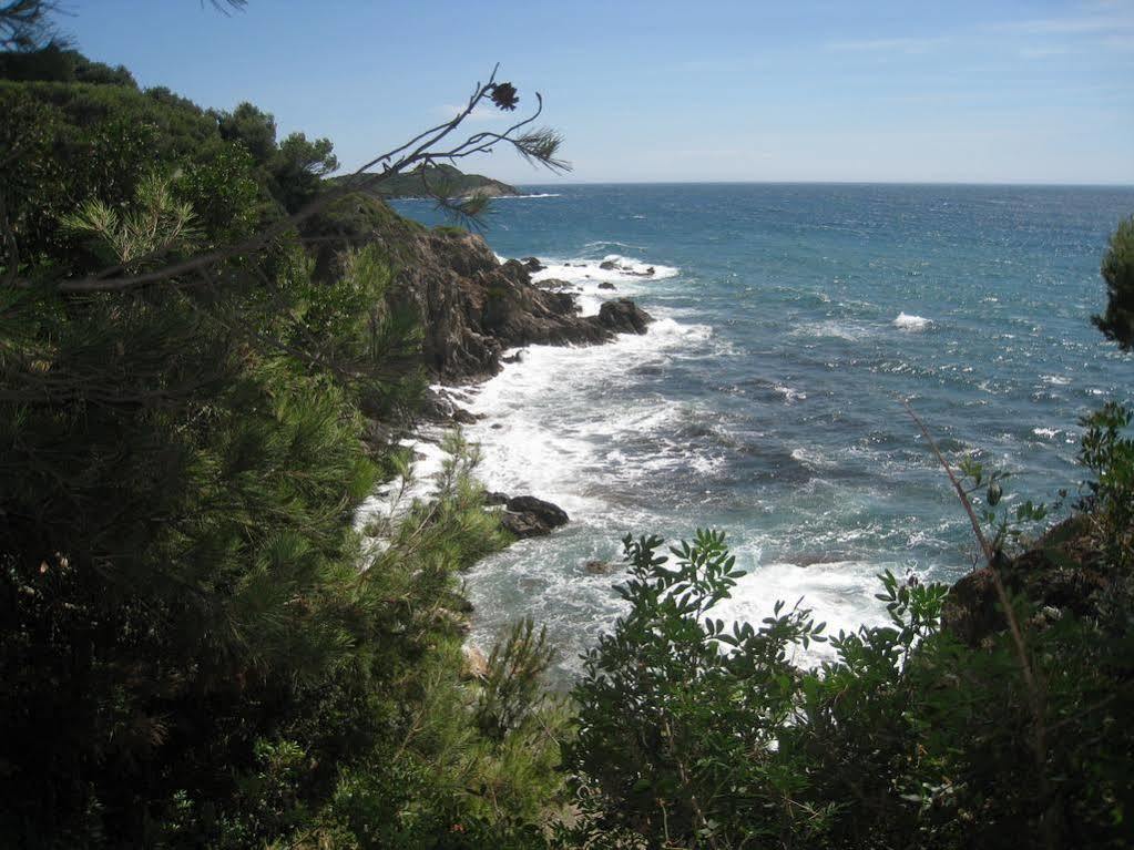 Residence Hoteliere La Pinede Bleue Hyères Dış mekan fotoğraf