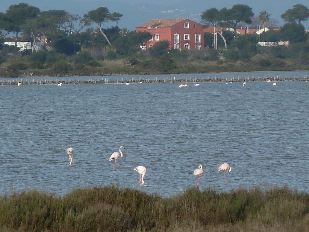 Residence Hoteliere La Pinede Bleue Hyères Dış mekan fotoğraf